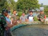 Babinsa Berbagi Ilmu dan Semangat, Kunjungi Peternak Lele