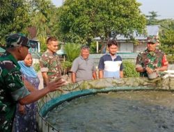 Babinsa Berbagi Ilmu dan Semangat, Kunjungi Peternak Lele Babinsa Berbagi Ilmu dan Semangat, Kunjungi Peternak Lele