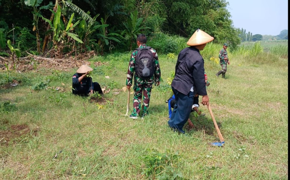 Babinsa Tanam Pohon Angsana di Pinggir Sungai Bengawan Solo