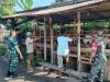 Babinsa Berbagi Informasi, Peternak Kambing di Gemolong Semakin Maju