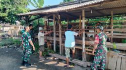 Babinsa Berbagi Informasi, Peternak Kambing di Gemolong Semakin Maju