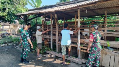 Babinsa Berbagi Informasi, Peternak Kambing di Gemolong Semakin Maju