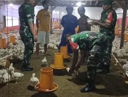 Yasin Dampingi Peternak Ayam Potong Menuju Kesuksesan