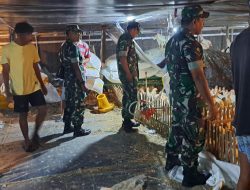 Babinsa Cek Kondisi Peternakan Ayam Potong, Himbau Kebersihan untuk Cegah Penyakit