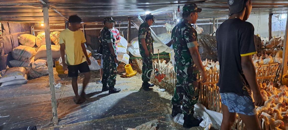 Babinsa Cek Kondisi Peternakan Ayam Potong, Himbau Kebersihan untuk Cegah Penyakit