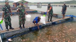 Babinsa Sambangi Peternak Nila, Jalin Sinergi dan Dukung Peningkatan Produksi
