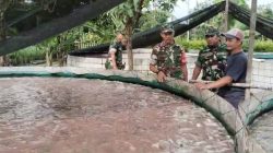 Babinsa Semangati Peternak Nila Menuju Kesuksesan