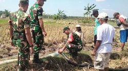 Babinsa Berperan Aktif, Mengawasi Aliran Irigasi Pertanian dari IRPOM