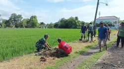 Koramil Karangmalang Sukseskan Penanaman Pohon, Hijaukan Jalan Kel. Kroyo