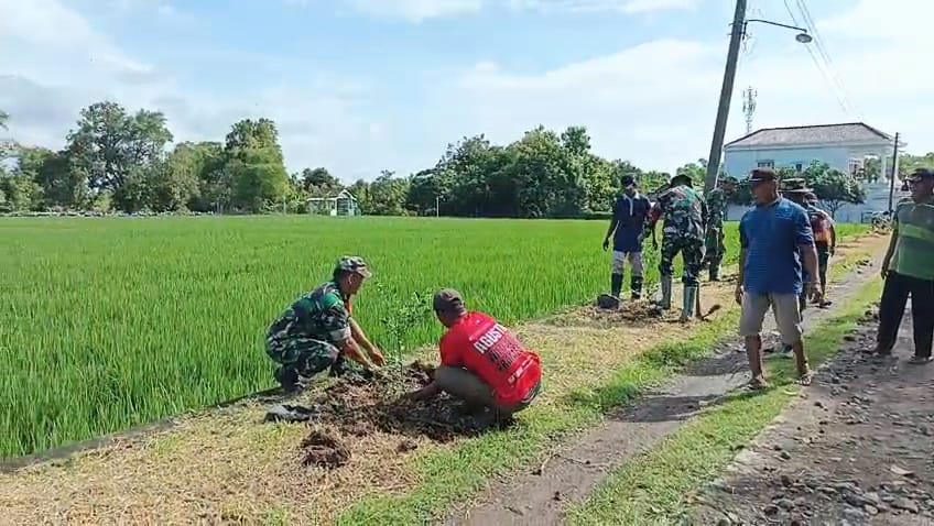 Koramil Karangmalang Sukseskan Penanaman Pohon, Hijaukan Jalan Kel. Kroyo