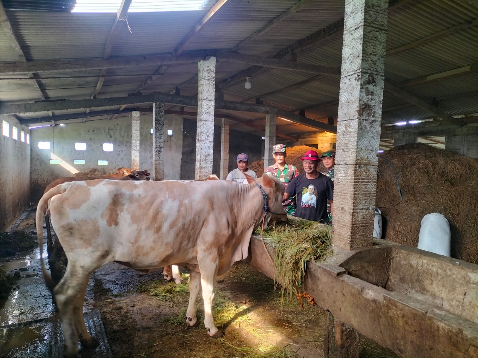 Babinsa Menjaga Keberlangsungan Peternakan Sapi Melalui Pendataan Akurat