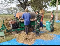 Tak Takut Gatal, Babinsa Bergelut dengan Tleser Demi Bantu Petani Tak Takut Gatal, Babinsa Bergelut dengan Tleser Demi Bantu Petani