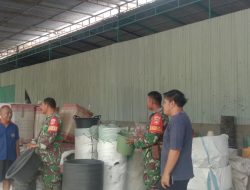 Babinsa Cek Penggilingan Padi, Pantau Stok Beras Babinsa Cek Penggilingan Padi, Pantau Stok Beras