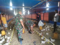 Batuud Cek Kesehatan Ayam Potong, Himbau Peternak Jaga Kebersihan Kandang Batuud Cek Kesehatan Ayam Potong, Himbau Peternak Jaga Kebersihan Kandang
