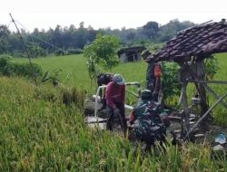 Babinsa Bantu Pemeliharaan Sumur Sibel Milik Petani Babinsa Bantu Pemeliharaan Sumur Sibel Milik Petani