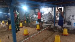 Babinsa Berikan Arahan Kebersihan Kandang Ayam Potong, Upaya Tingkatkan Kesehatan Ternak dan Produktivitas Peternak Babinsa Berikan Arahan Kebersihan Kandang Ayam Potong, Upaya Tingkatkan Kesehatan Ternak dan Produktivitas Peternak