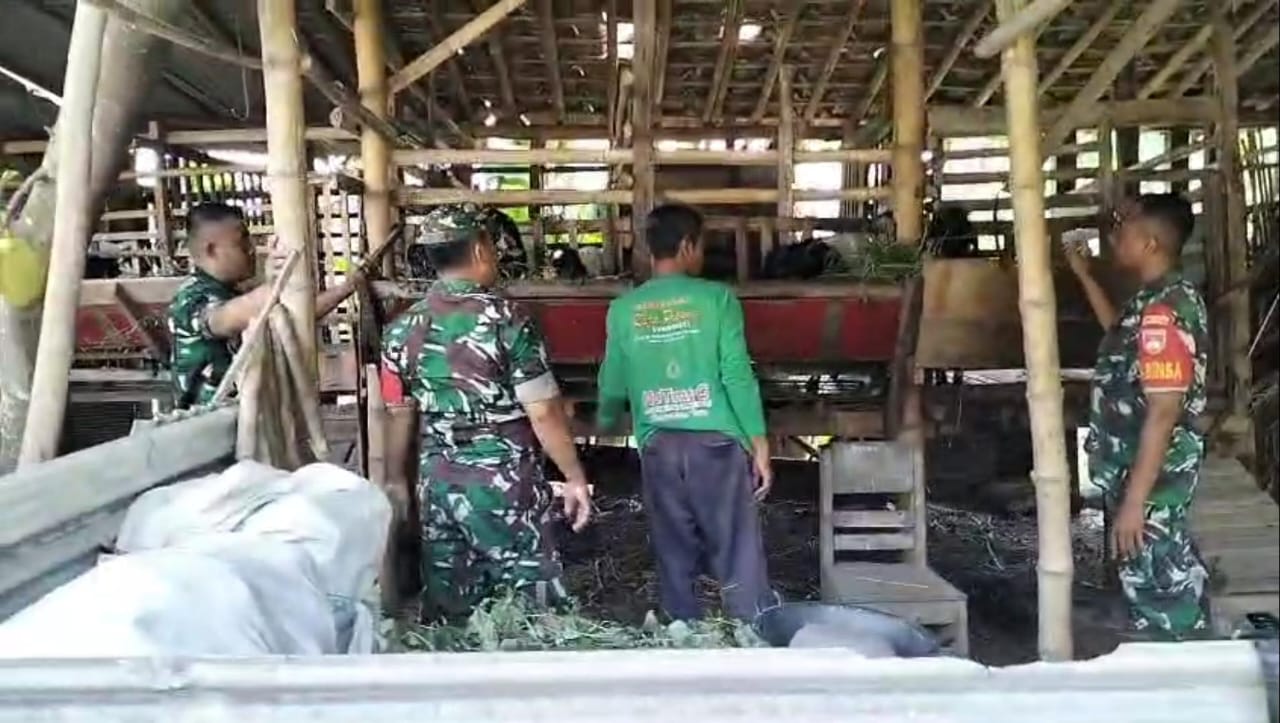Babinsa Cek Hewan Ternak Kambing yang Dipelihara Warga