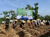 Danramil Ikuti Kegiatan Tanam Perdana Bongkar Ratoon Tebu Bersama Petani