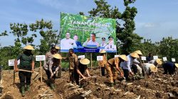 Danramil Ikuti Kegiatan Tanam Perdana Bongkar Ratoon Tebu Bersama Petani Danramil Ikuti Kegiatan Tanam Perdana Bongkar Ratoon Tebu Bersama Petani
