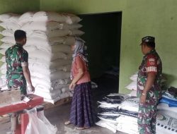 Pengecekan Pupuk Secara Intensif Terus dilakukan Babinsa