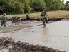 Babinsa Lakukan Pendampingan Pengolahan Lahan Sawah Untuk Persiapan Tanam