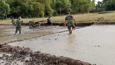 Babinsa Lakukan Pendampingan Pengolahan Lahan Sawah Untuk Persiapan Tanam Babinsa Lakukan Pendampingan Pengolahan Lahan Sawah Untuk Persiapan Tanam