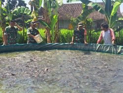 Jalin Kemitraan, Babinsa Kunjungi Peternak Ikan Lele