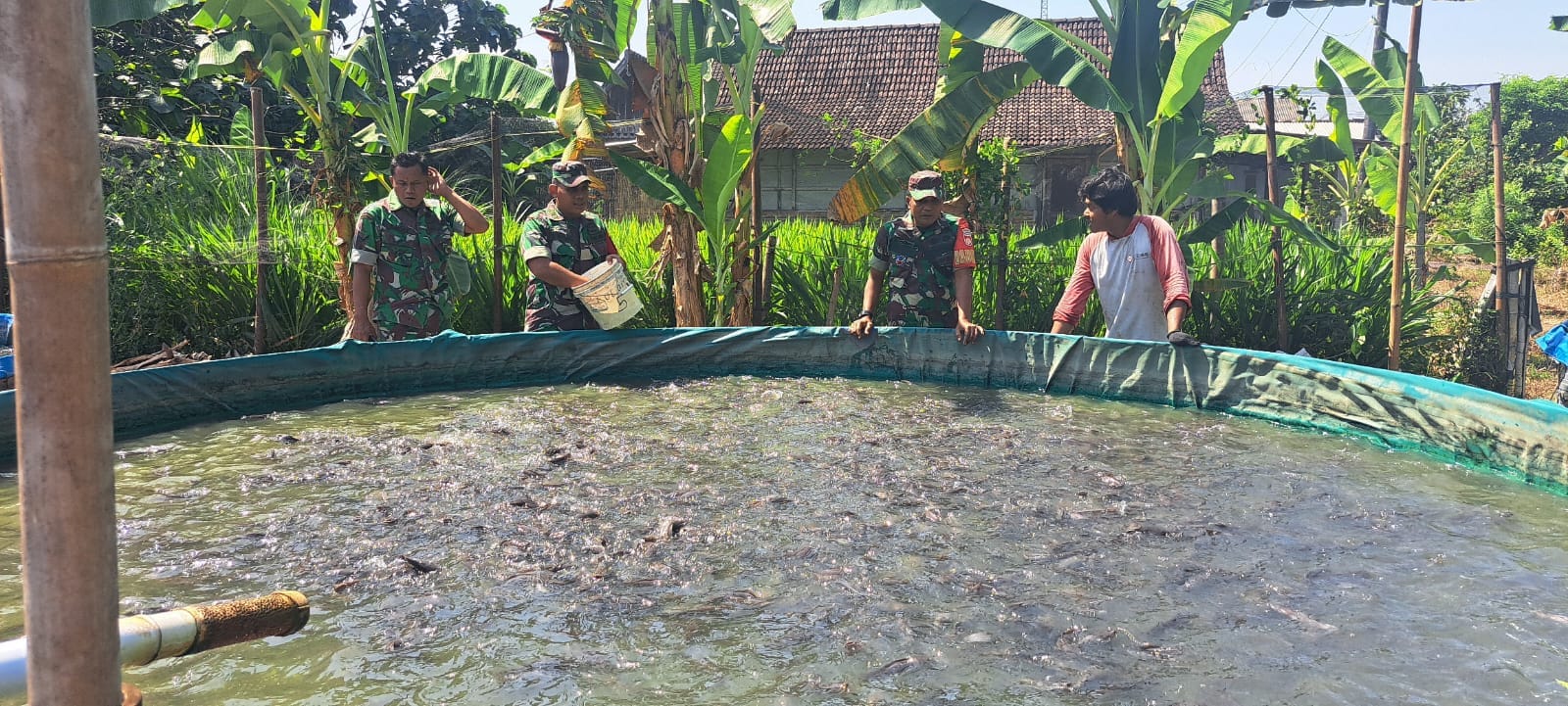 Jalin Kemitraan, Babinsa Kunjungi Peternak Ikan Lele