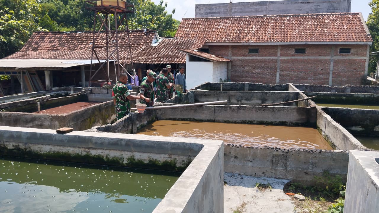 Danramil Gesi Cek Peternakan Lele Untuk Ketahui Potensi Wilayah