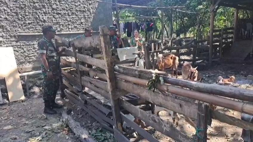 Sigit Laksanakan Pendampingan dan Pengecekan Hewan Ternak Kambing Milik Warga