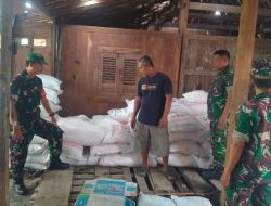 Datangi Distributor Babinsa Cek Ketersediaan Pupuk