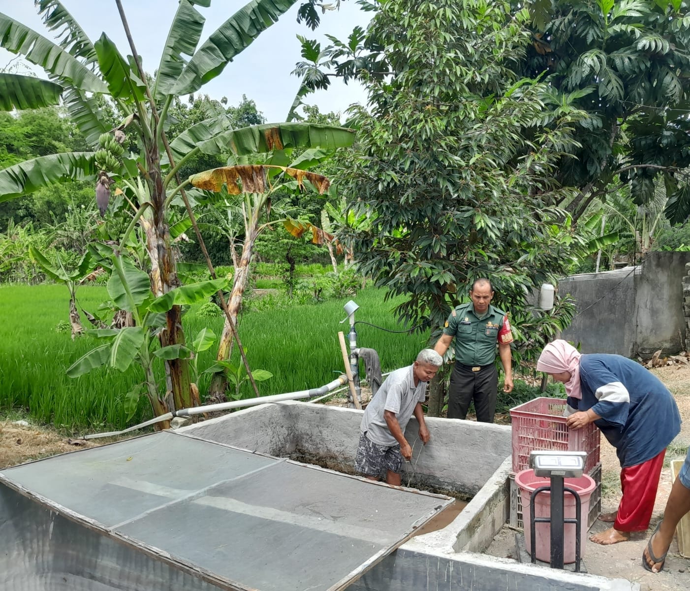 ​Babinsa Komsos dengan Peternak Ikan, Pantau Perkembangan