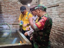 Kerjasama Babinsa dan Jumantik Gelar Pemeriksaan Jentik Nyamuk di Tampungan Warga, Cegah Penyebaran Penyakit