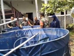 Babinsa Lakukan Pemeliharaan Ikan Lele, Dukung Perekonian Warga