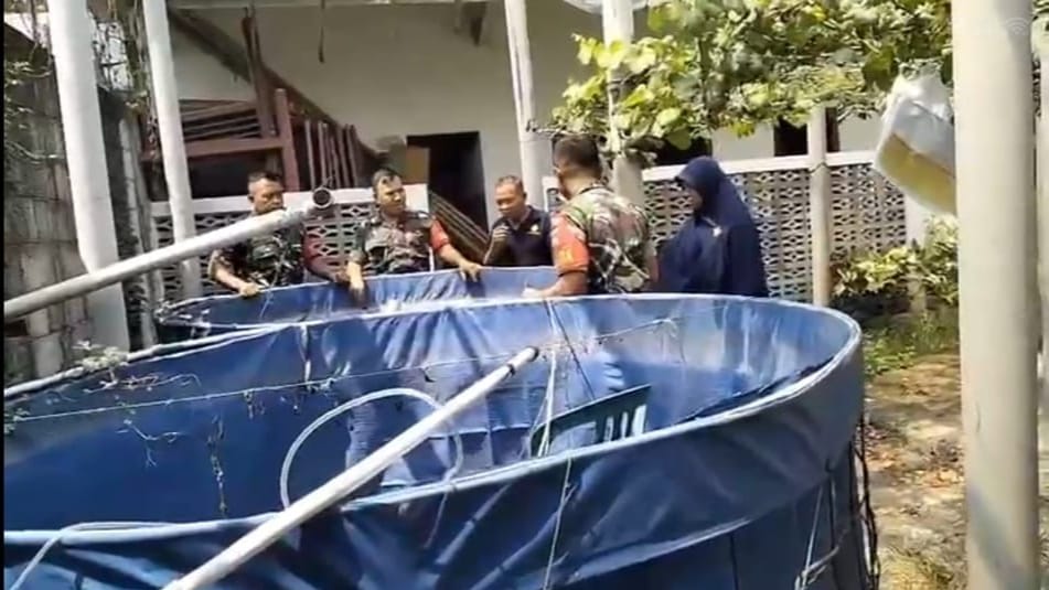 Babinsa Lakukan Pemeliharaan Ikan Lele, Dukung Perekonian Warga