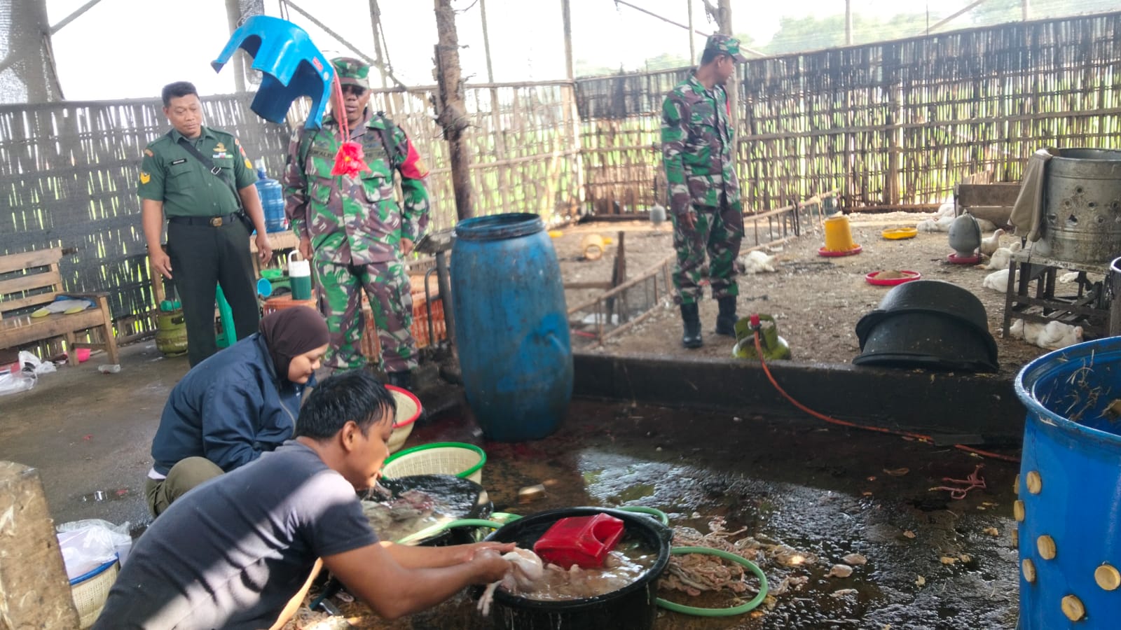 Babinsa Cegah Wabah, Cek Kemandirian Kebersihan Tempat Pemotongan Ayam Pedaging