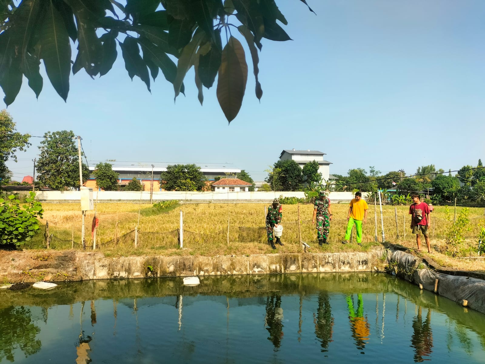 Babinsa Ikut Memberi Pakan Ikan Lele dan Berikan Motivasi