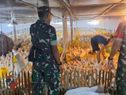 Babinsa Berbagi Informasi kepada Peternak Ayam Potong
