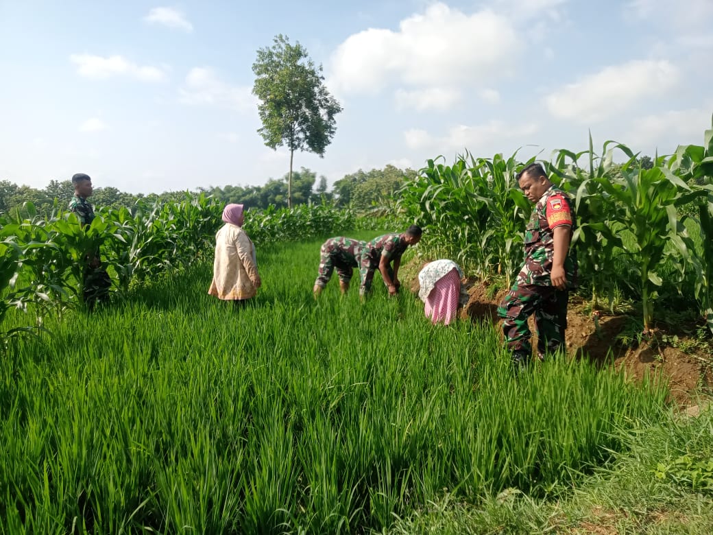 Perbarui Data Wilayah, Babinsa Laksanakan Pengumpulan Data Teritorial