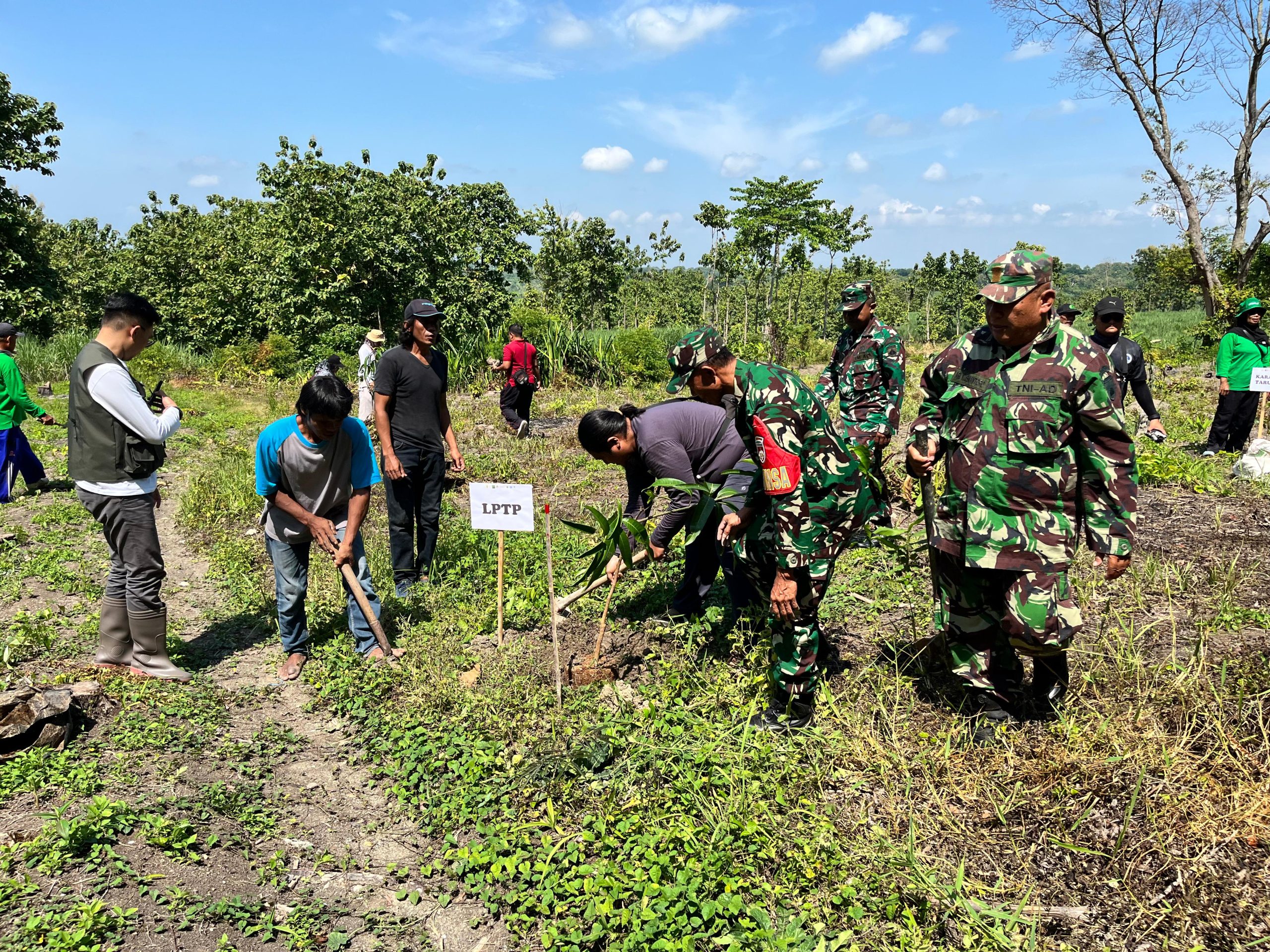 Koramil Lakukan Penanaman 1000 Pohon, Restorasi Lahan Bersama Mahasiswa Pecinta Alam UGM