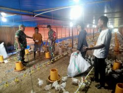 Peternak Ayam Keluhkan Harga Pakan Mahal, Babinsa Berikan Imbauan dan Dukungan