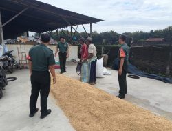 Sertu Suryadi Pantau Ketersediaan Stok Gabah di Penggilingan, Antisipasi Kelangkaan Pangan