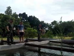 Babinsa Dukung Pemberdayaan Ekonomi Warga dengan Mengunjungi Ternak Lele Bapak Saputro