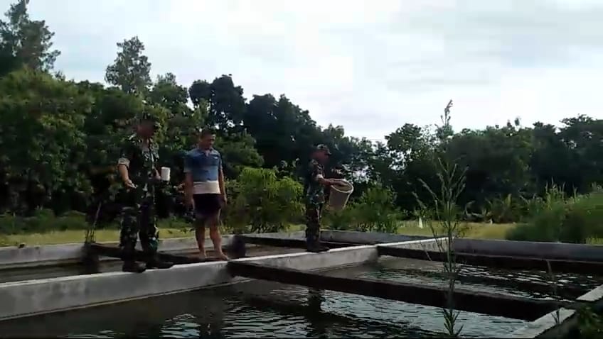 Babinsa Dukung Pemberdayaan Ekonomi Warga dengan Mengunjungi Ternak Lele Bapak Saputro