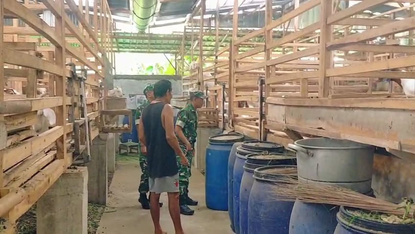Babinsa Minta Warga Peternak Kambing Waspada Terhadap Penyakit
