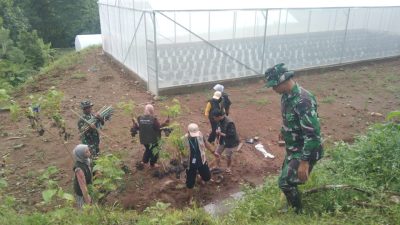 Ciptakan Lingkungan Hijau, Babinsa Bersama Mahasiswa KKN UNS Lakukan Penanaman Pohon Ciptakan Lingkungan Hijau, Babinsa Bersama Mahasiswa KKN UNS Lakukan Penanaman Pohon