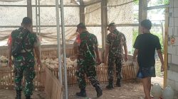 Thoyibi Laksanakan Pengecekan Kesehatan Ayam Pedaging, Tanyakan Kendala yang Dihadapi