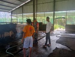 Serka Andreas Pantau Kondisi Hewan dan Kandang Milik Nurman