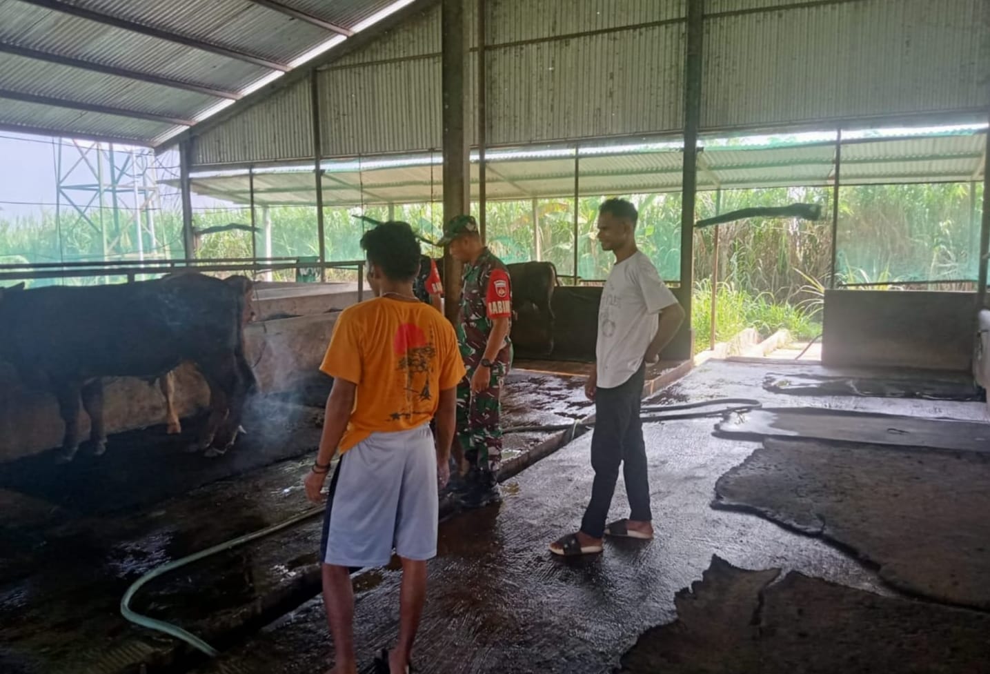 Serka Andreas Pantau Kondisi Hewan dan Kandang Milik Nurman