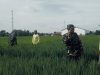 Babinsa Dan Petani Pantau perkembangan Tanaman Padi